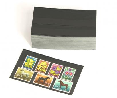 100 Versand-Einsteckkarten 147 x 84 mm mit 2 Streifen und Deckblatt, leicht gebogen 